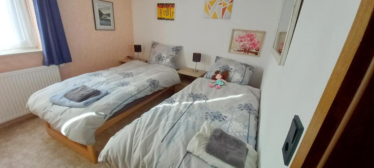 A Large Fully Furnished Private Apartment 莱茵河畔林茨 外观 照片