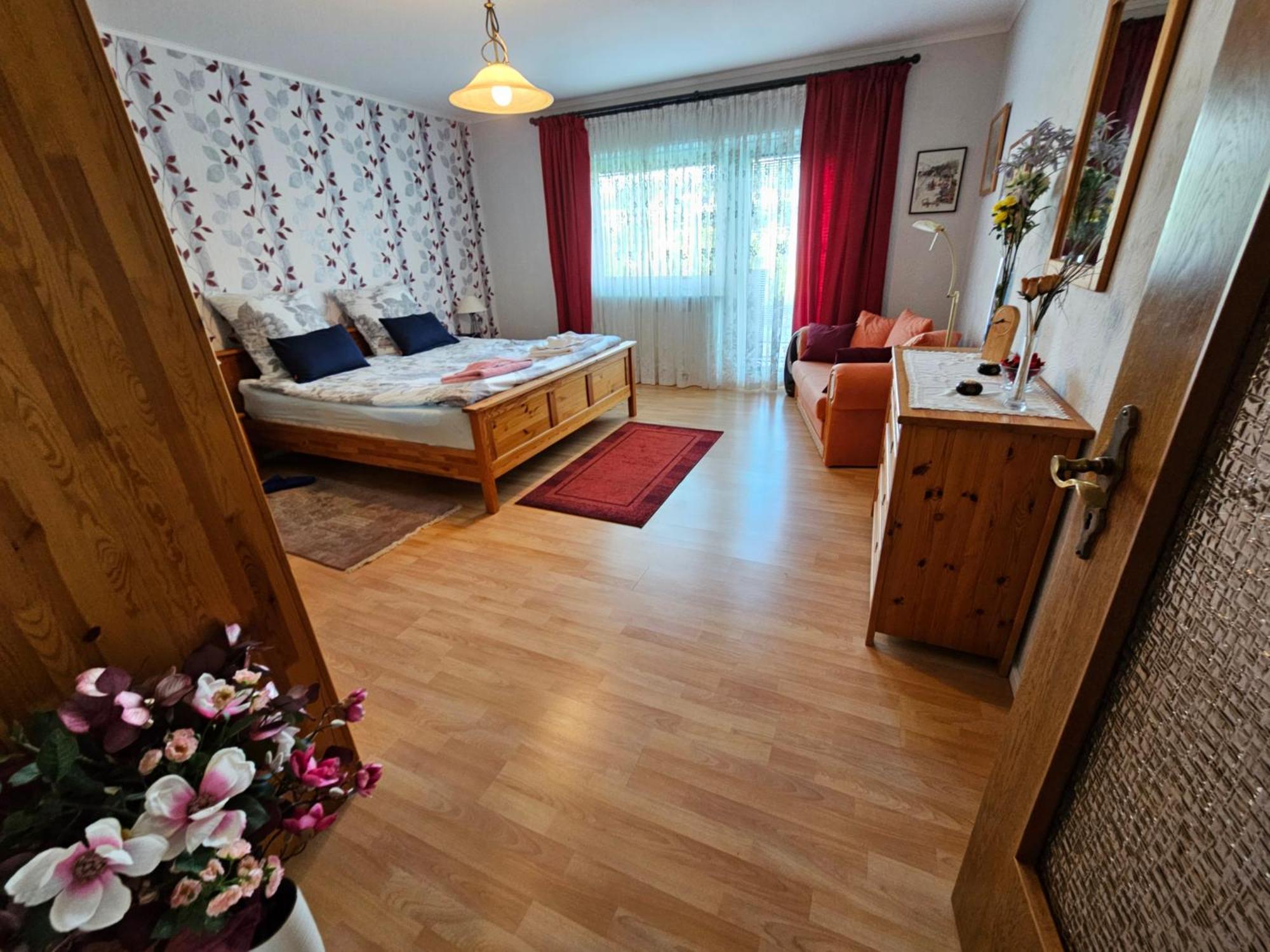 A Large Fully Furnished Private Apartment 莱茵河畔林茨 外观 照片
